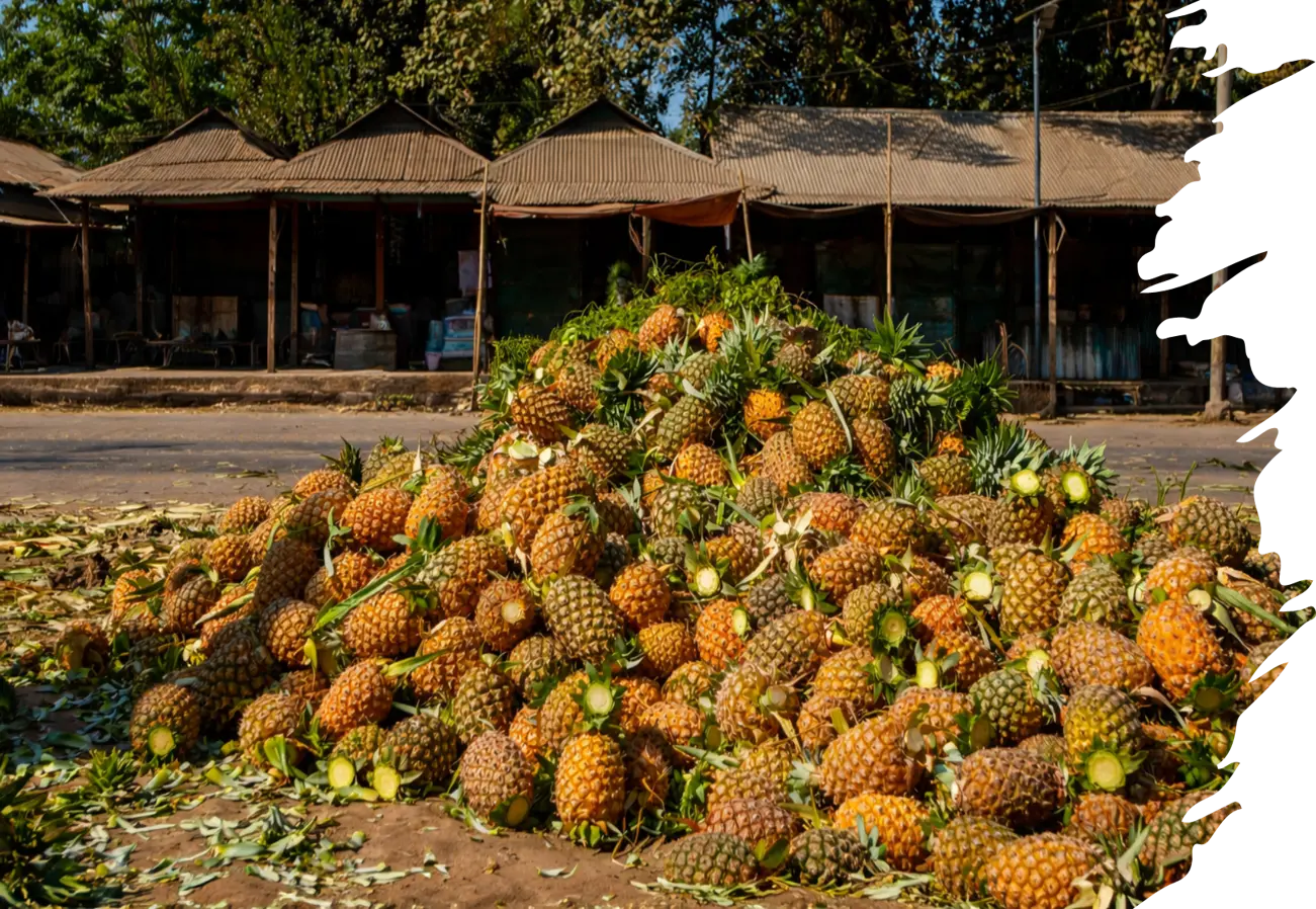 Tropical Fruit Pulps Banner 1