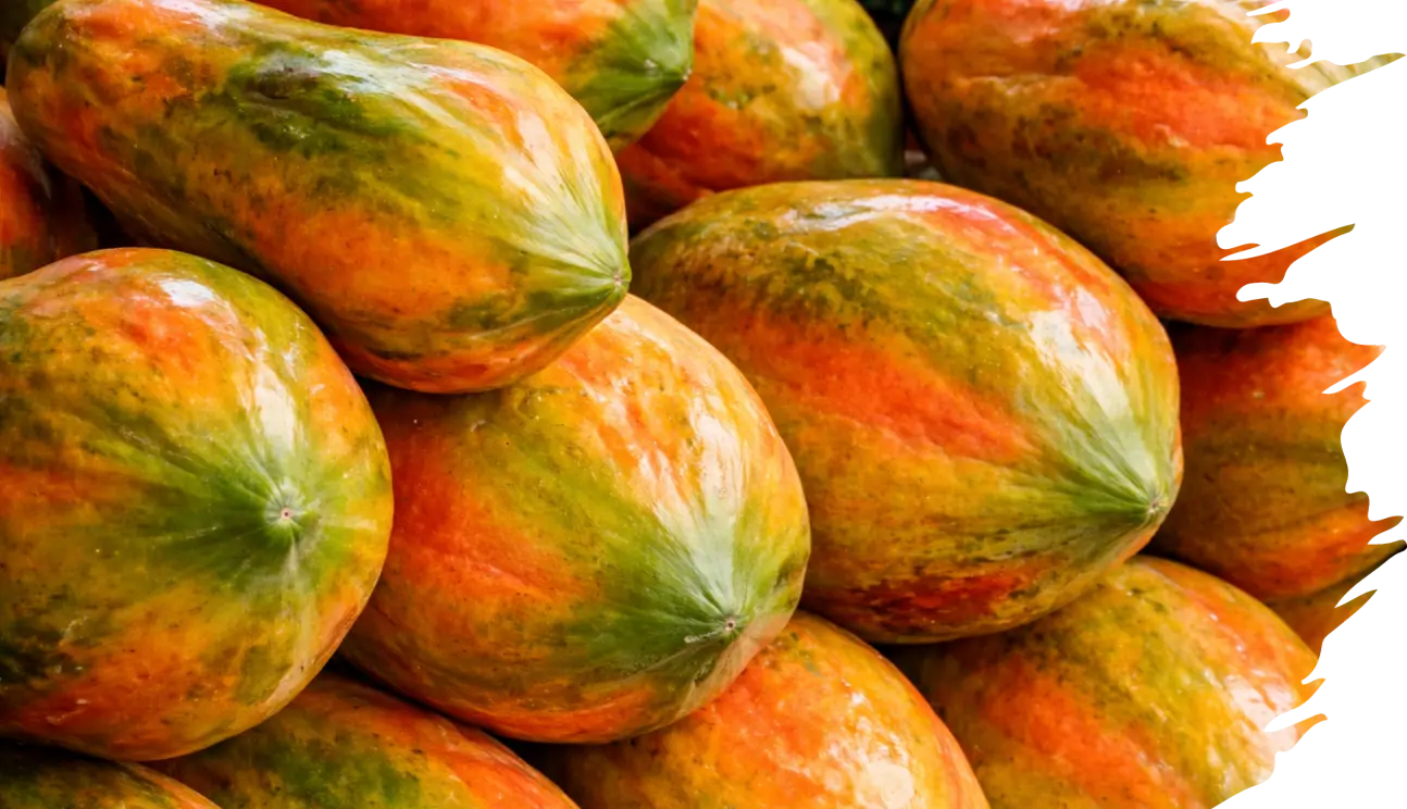 Tropical Fruit Pulps Banner 4