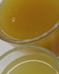 Pineapple Smooth Cayenne