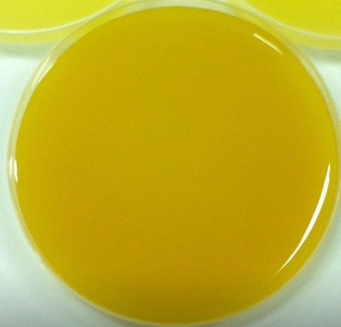 Pineapple Smooth Cayenne