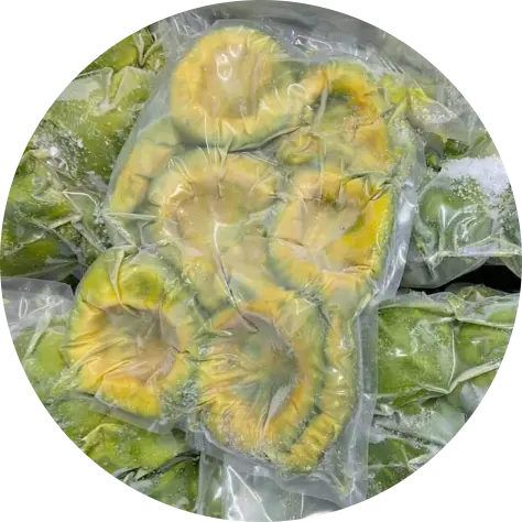 Avocado Booth